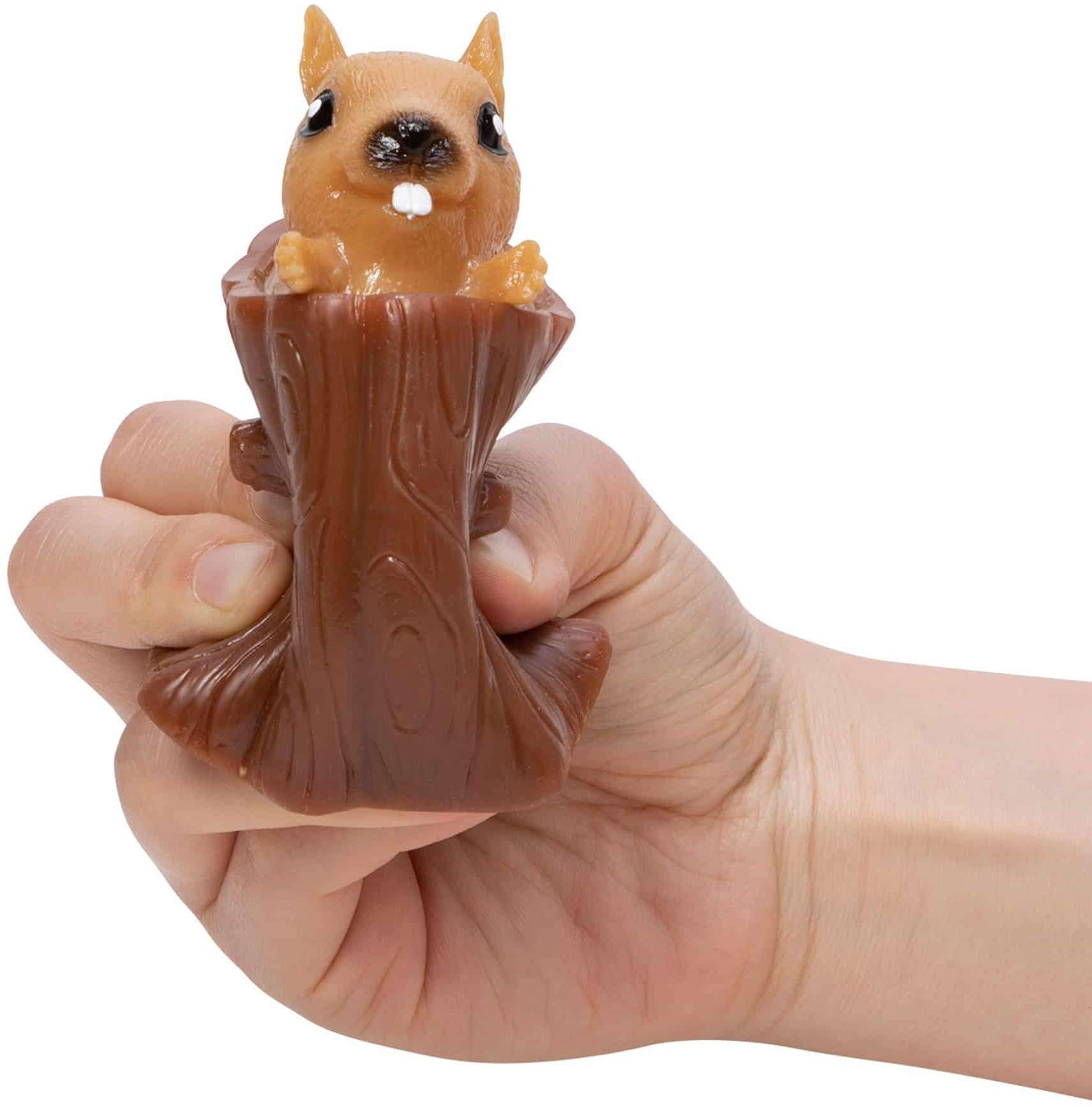 Schylling Squeeze  Nutty Squirrel Popper Toys Age 3+